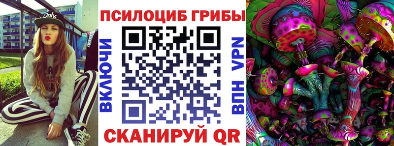 Псилоцибиновые грибы Psilocybine cubensis  что такое   это состав  Пошехонье 